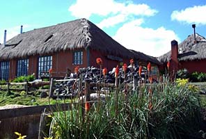 IMG Ecuador Volcanoes Climbing Expedition