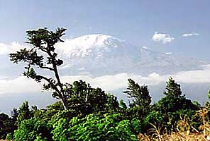 IMG Team on the Summit of Kilimanjaro, Africa