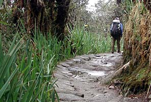 Trekking the Inca Trail to Machu Picchu with IMG
