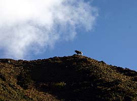 Bhutan