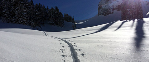 AIARE Avalanche 2 Course with International Mountain Guides