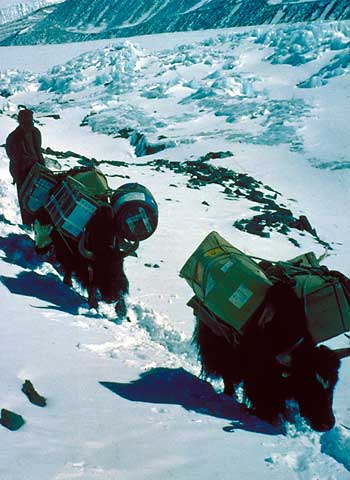 Mount Everest photos Eric Simonson expedition