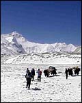 base camp
