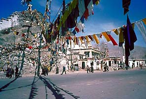 International Mountain Guides Tibet Trek