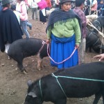 Otavalo Farmers Market. (Photo by Greg Vernovage)
