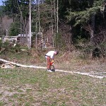 Not a wild animal...that's Larry taking care of some suspect trees.