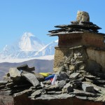 Dhaulagiri (8,167m / 26,795 ft) from Muktinath  (Charlotte Austin)
