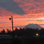 Mt. Rainier