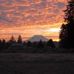 Mt. Rainier