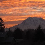 Mt. Rainier