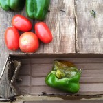 The Pepper Who Couldn't