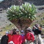 Kili team before Barranco. (Eben Reckord)