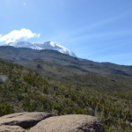 Looking up at Kili from about halfway between Machame Camp and Shira Camp. (Eben Reckord)