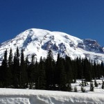 Mt. Rainier