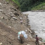 Donkeys on trail along the river (Phunuru Sherpa)
