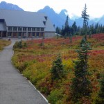 Fall colors at Paradise
