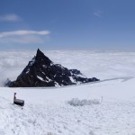 Best Panorama. The Flats on Mt. Rainier. Photo by Mikkel Hansen. Best Panorama. The Flats on Mt. Rainier. Photo by Mikkel Hansen.