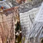 Best Culture Shot. Prayer Flags. Photo by Kim Cornicello. Best Culture Shot. Prayer Flags. Photo by Kim Cornicello.