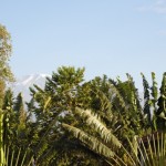 Kili seen from the hotel roof in Moshi (Jenni Fogle) Kili seen from the hotel roof in Moshi (Jenni Fogle)