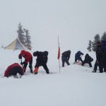 Group engaged in avalanche transceiver search practice Group engaged in avalanche transceiver search practice