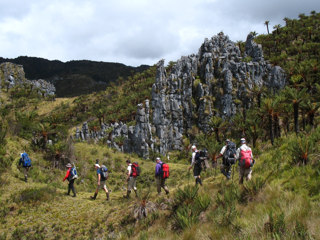 Climbers crossing the Plateau  (Jason Edwards)