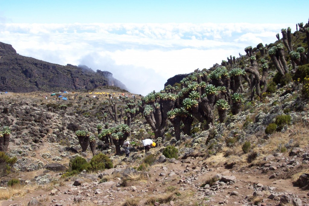 Descending to Barranco Camp