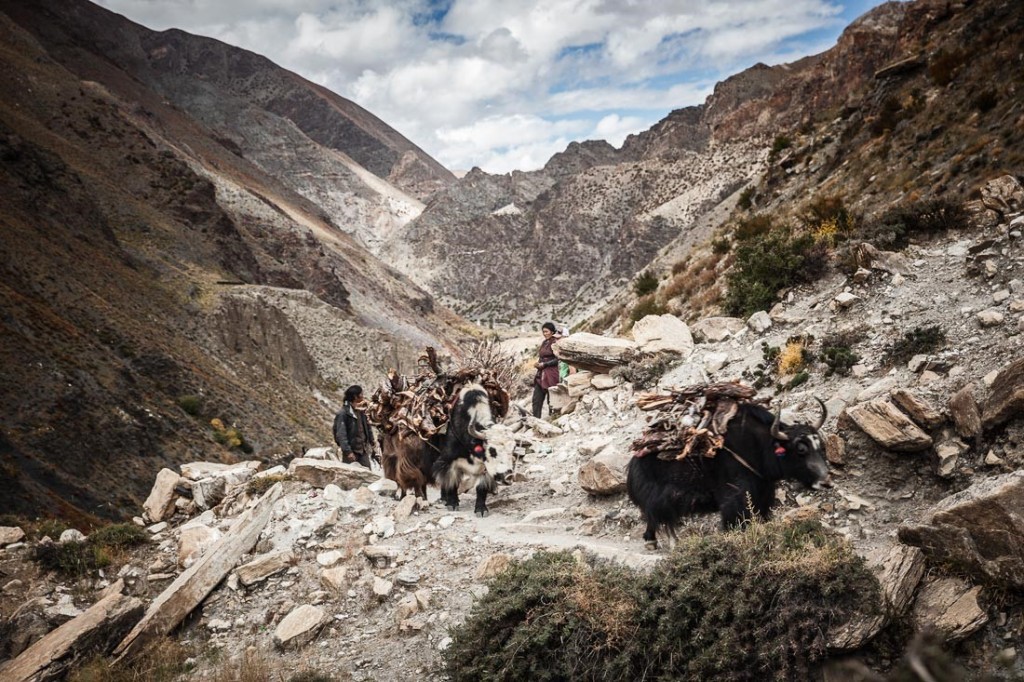 Trekking in Dolpo Region (Adam Angel)