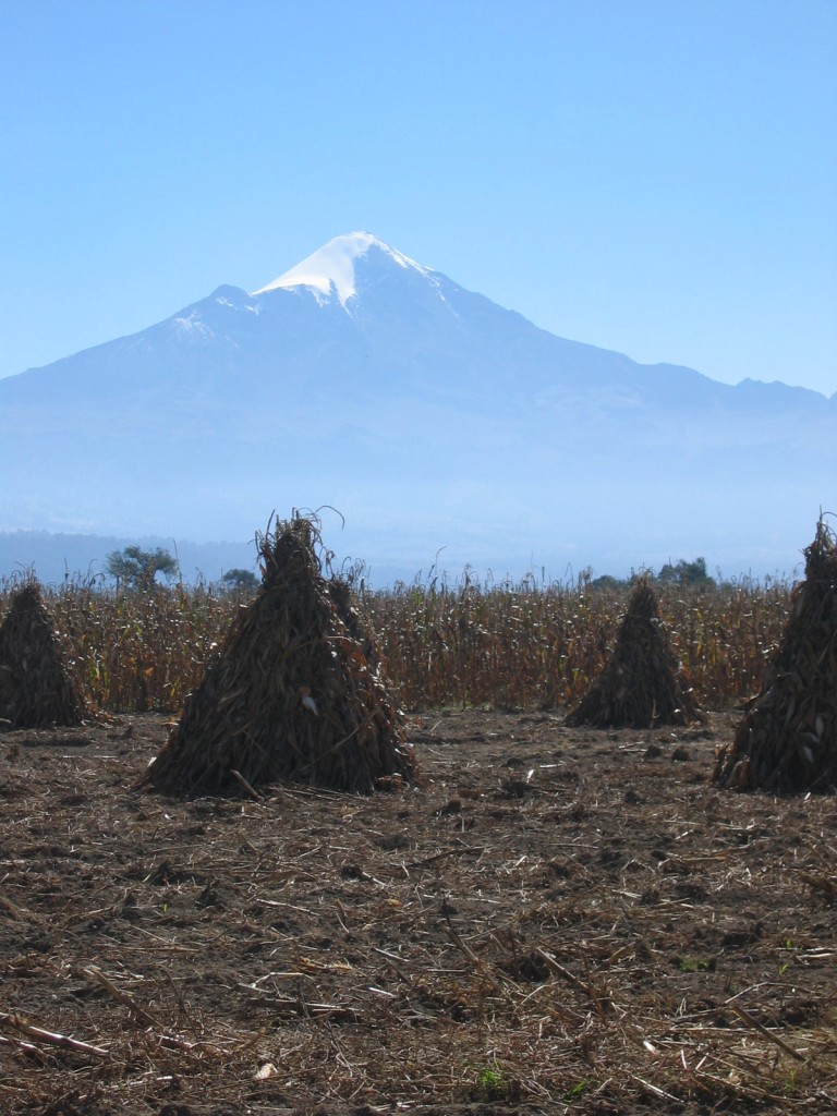 Pico de Orizaba 