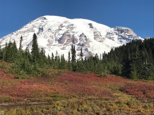 Beautiful Mount Rainier (Photo: Luke Reilly)