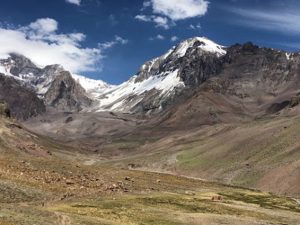 Final Stretch to Base Camp (Nickel Wood)