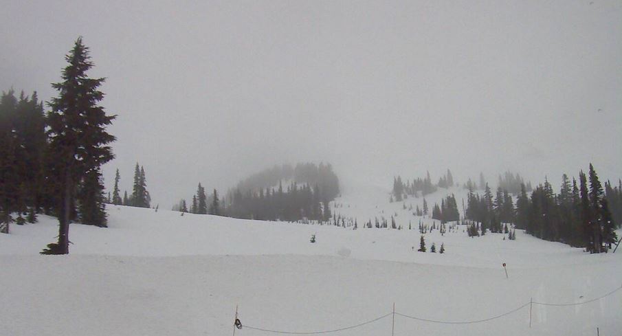 Paradise Webcam - Mt. Rainier National Park