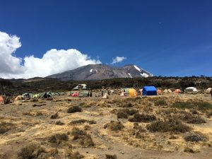 Kili and Shira Camp (Photo: Dustin Balderach)