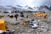 Packing gear and loading Yaks at ABC (Dallas Glass)
