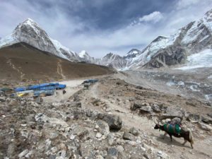 Trekking through Gorakshep (Jonathan Schrock)