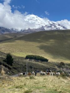 Chimborazo in the distance (Kim Sieradzki)