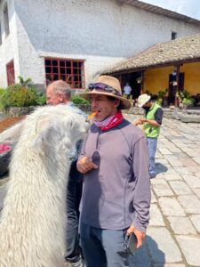 IMG Senior Guide Romulo Cardenas feeding the llamas at St Augustine (Kim Sieradzki)