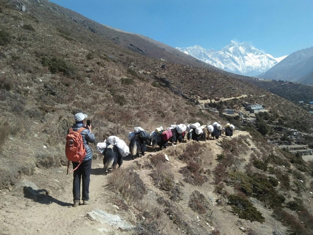 Advanced Sherpa Team heads to EBC with Everest and Lhotse in the distance (Tshering Tendi Sherpa)