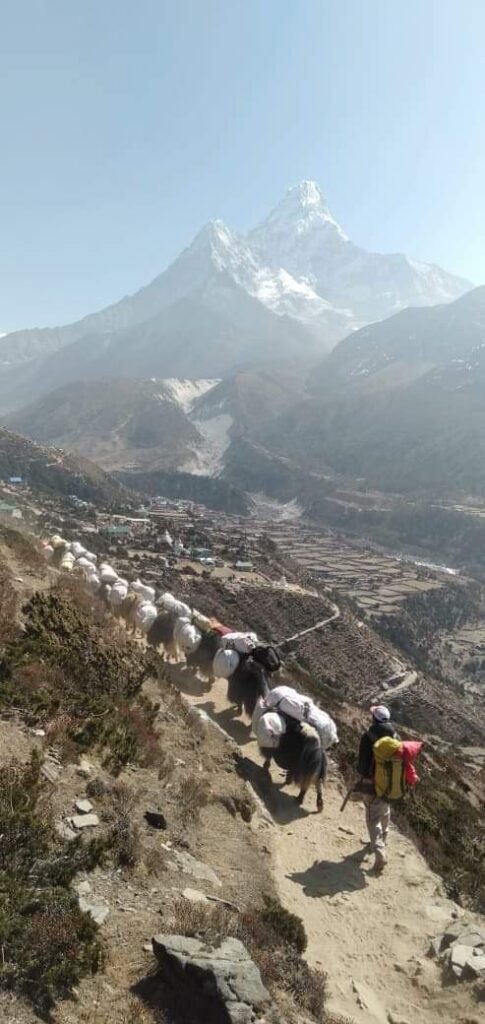 Pangboche below with Ama Dablam on the way to EBC (Tshering Tendi Sherpa)
