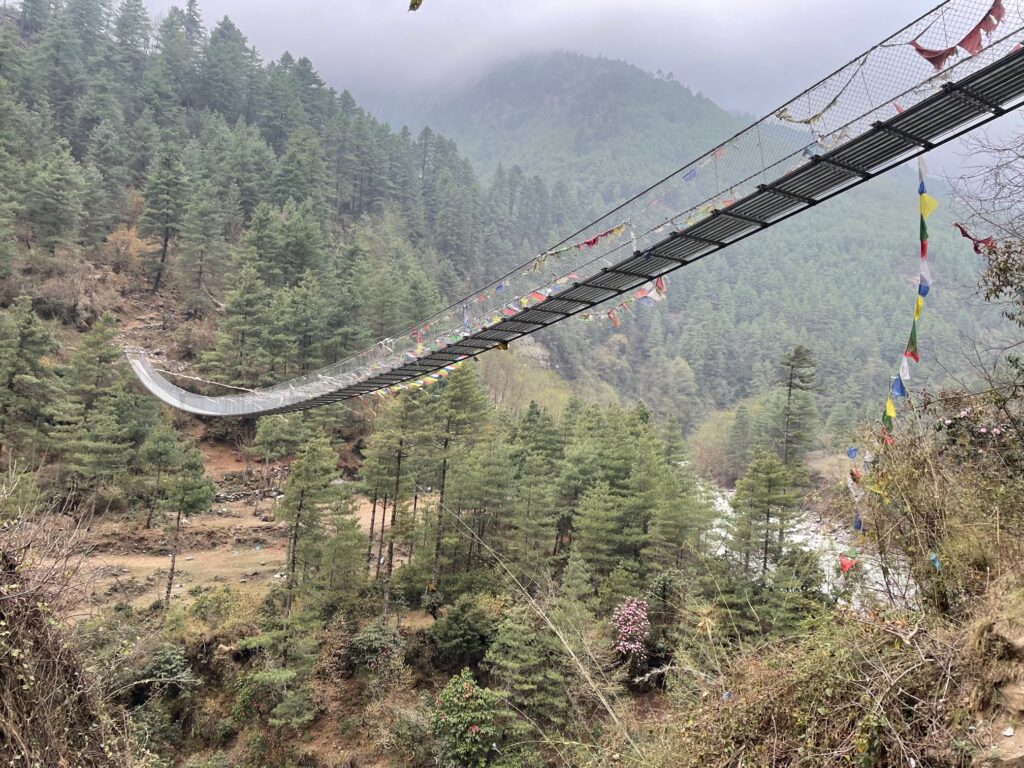 Great look at the suspension bridge enroute to Namche (Porter McMichael)